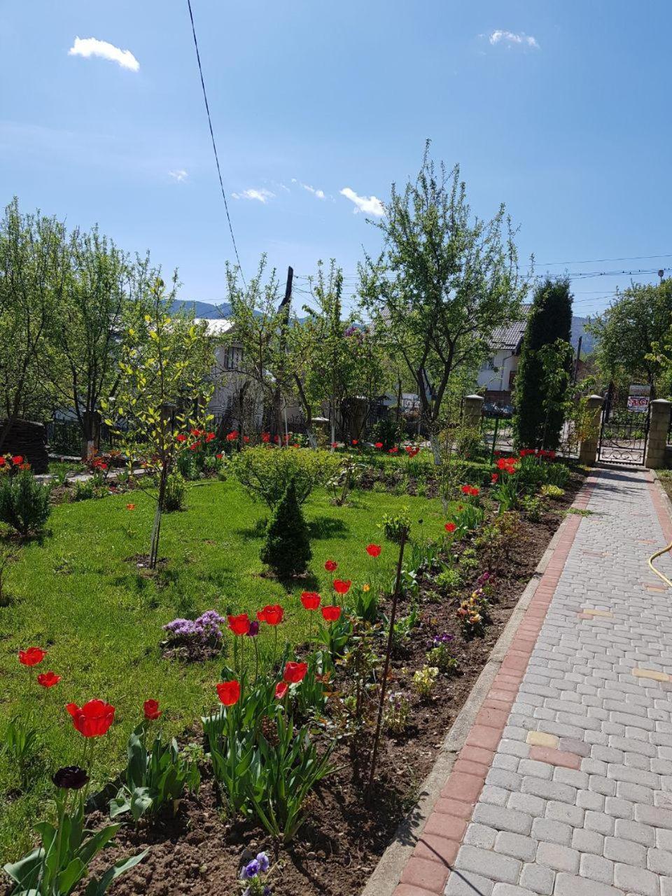 ירמכה Guest House Viktoria מראה חיצוני תמונה